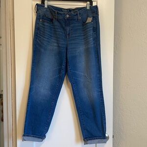 Torrid Vintage Stretch Blue Jeans